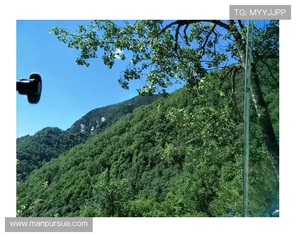 南京羽毛球队在大师赛中的奋斗与突破之路全景回顾
